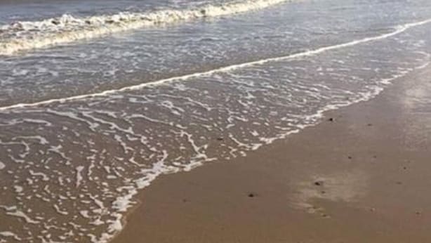A beach with waves gently lapping onto the shore under a clear sky.