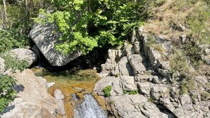 Ein natürlicher Wasserfall, umgeben von Felsen und Grünpflanzen.