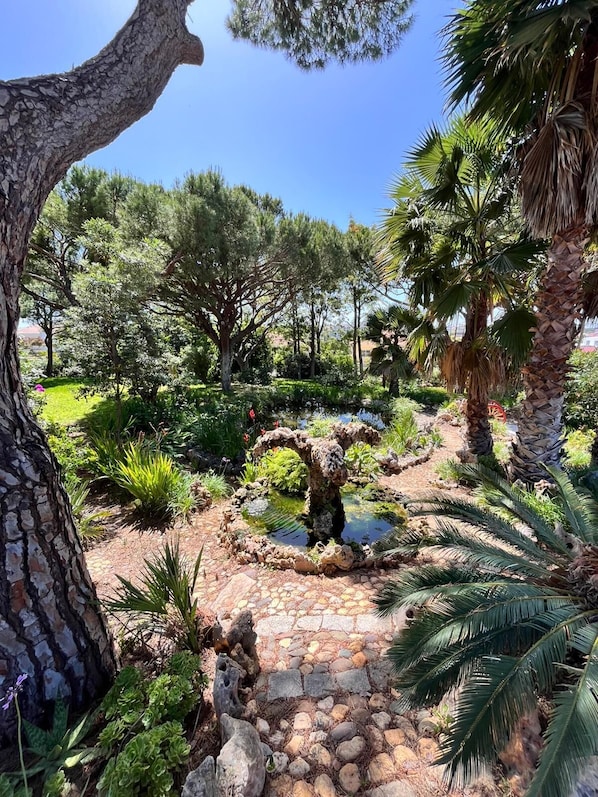 A garden with a stone pathway, a small pond, and various trees and plants.