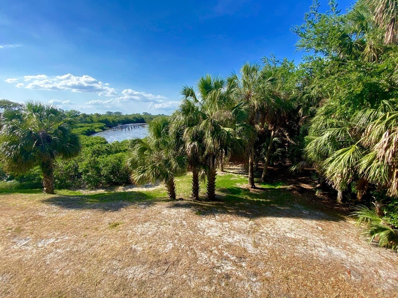 A natural landscape with a body of water, dense greenery, and a clear sky.