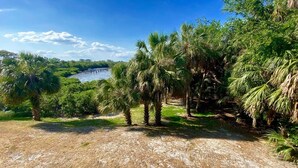 Un paisaje natural con un cuerpo de agua, abundante vegetación y un cielo despejado.