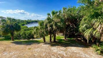 A natural landscape with a body of water, dense greenery, and a clear sky.