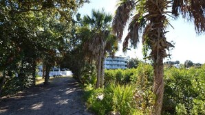 Un percorso immerso nel verde rigoglioso e palme, che conduce a un edificio con facciata bianca.