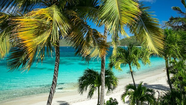 A beach with clear turquoise water, palm trees, and a clear sky. - One Bedroom Cottage on Peter Bay Beach (St John)