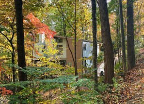 Een chalet in een bos, met een zichtbaar terras en een klein veranda.