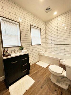 Combined shower/tub, hair dryer