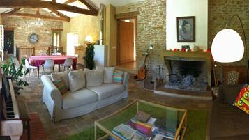 TV connectée, cheminée, jeux vidéo, lecteur de DVD