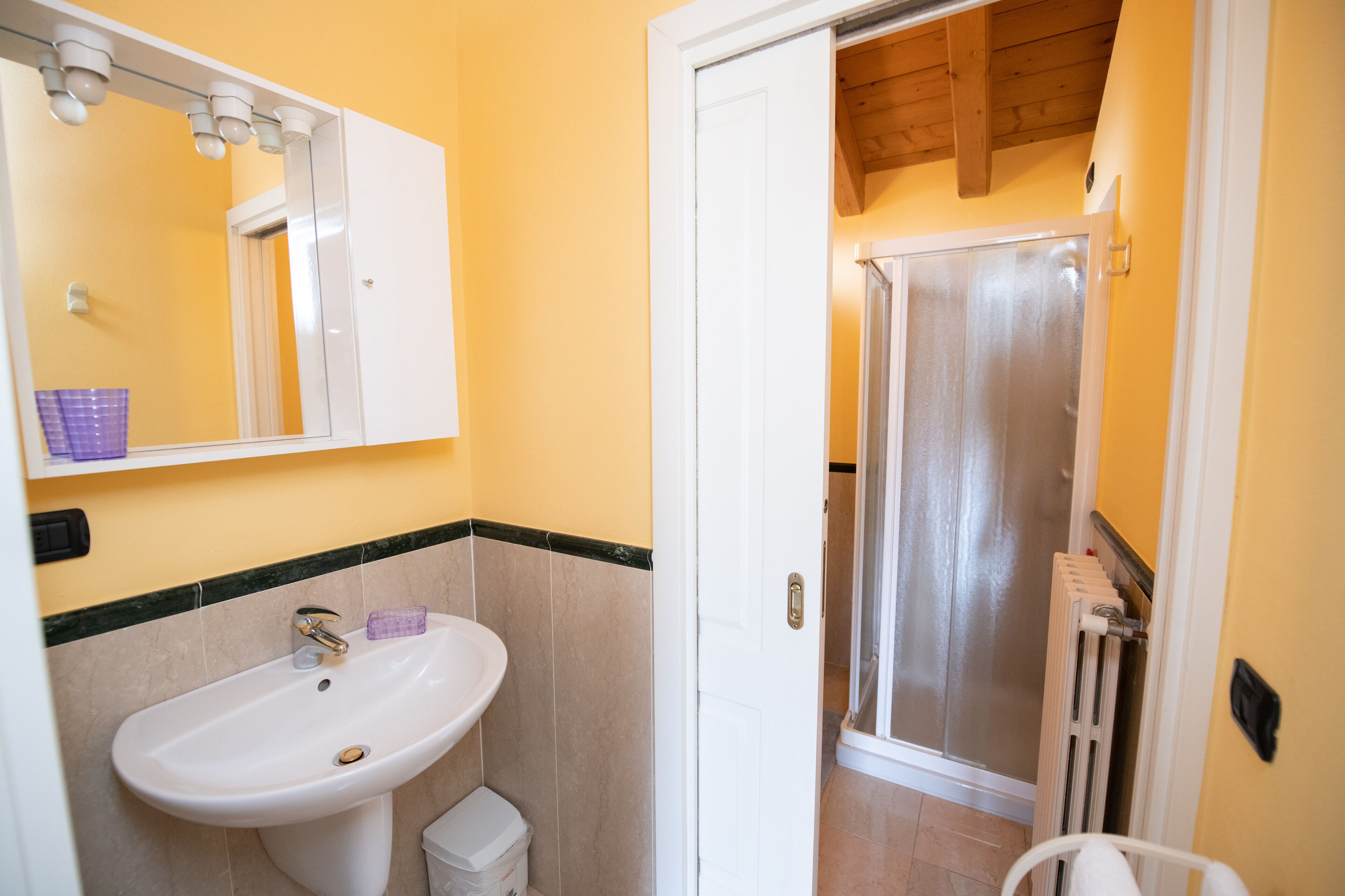A bathroom with a white sink, mirror, and shower area.