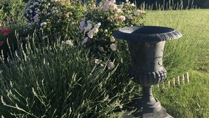 Ein Garten mit einer großen Vase und einem Berg im Hintergrund.