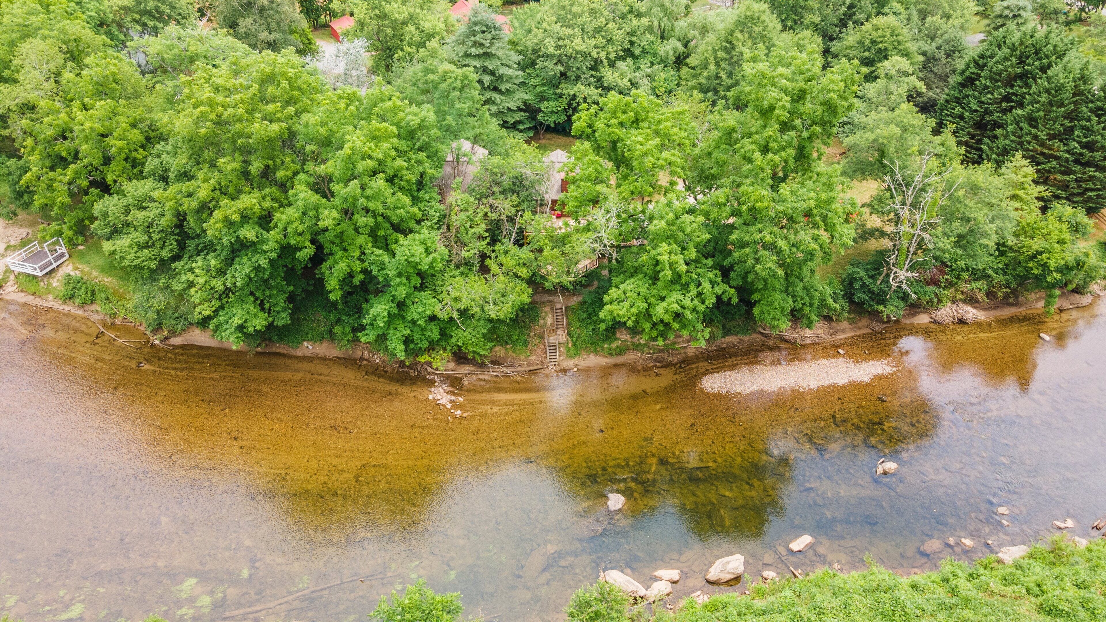 Une rive bordée d’une végétation luxuriante et un pont en bois.