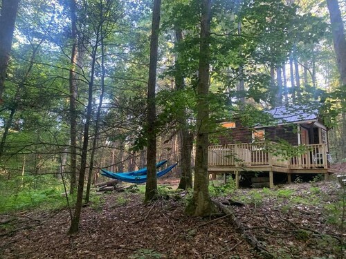Chanterelle Tiny House 