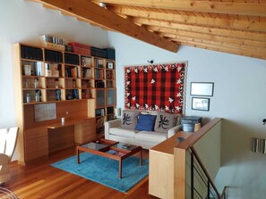 TV connectée, cheminée, lecteur de DVD, livres