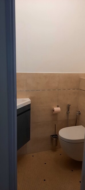 Ducha, secador de pelo, bidé y toallas