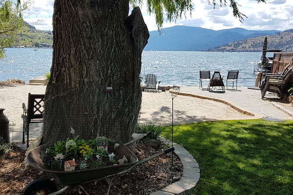 Weeping willow shade tree keeps the yard cool