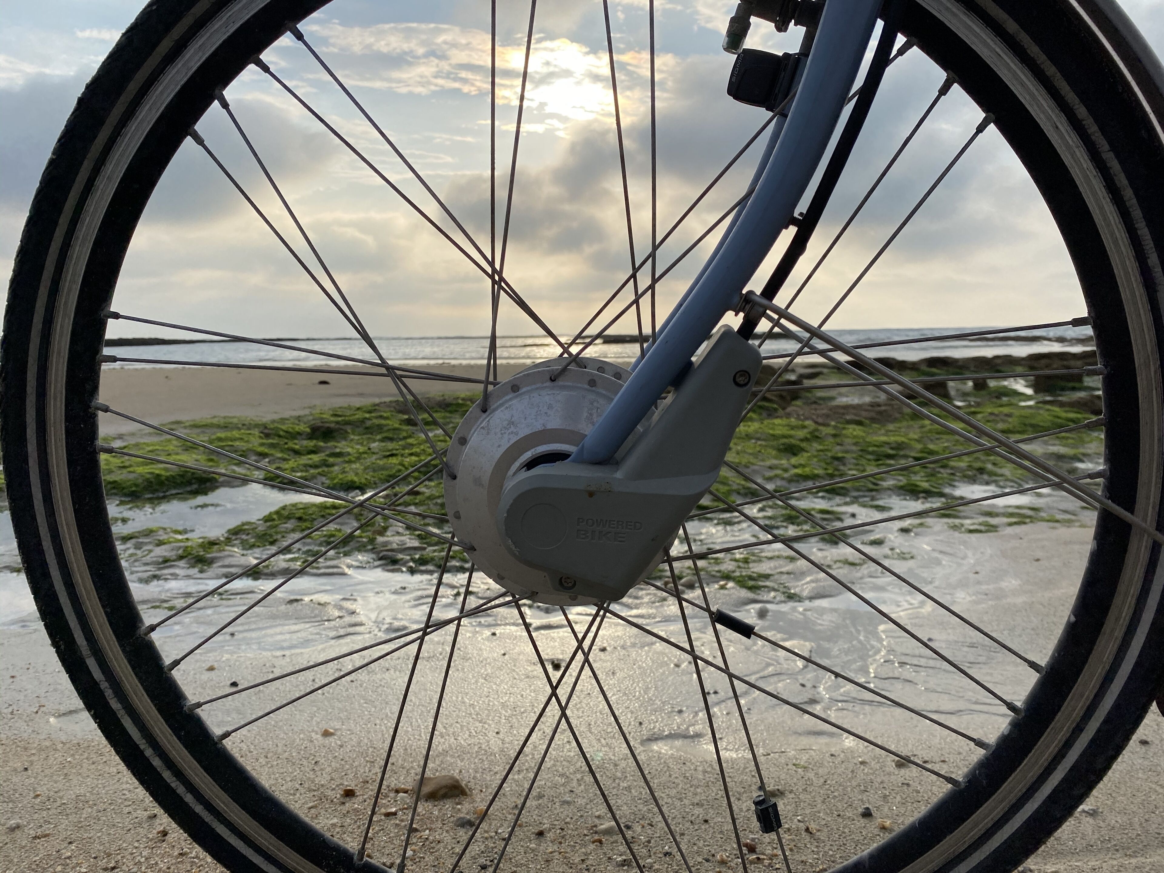A bicycle wheel with a visible gear mechanism and a beach in the background.