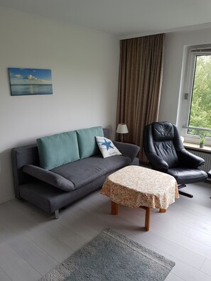 Televisie, een dvd-speler, boeken en een muziekbibliotheek