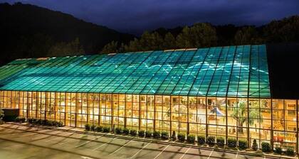 Fall in Love with Smokies Oct 22-29, 2023