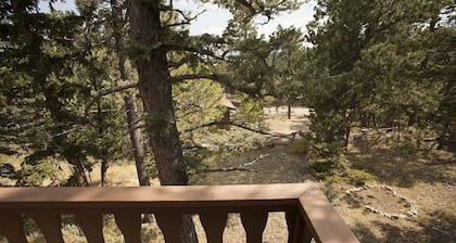 Steps away from Wild Basin:RMNP- 2-bdrm cabin perfect for adventure or relaxing!