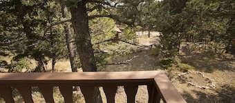 Steps away from Wild Basin:RMNP- 2-bdrm cabin perfect for adventure or relaxing!