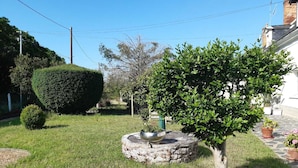 A well-maintained garden with a stone fountain, neatly trimmed bushes, and a clear sky. - Gîte à la Campagne "beauregard" à LA Fleche (La Flèche)
