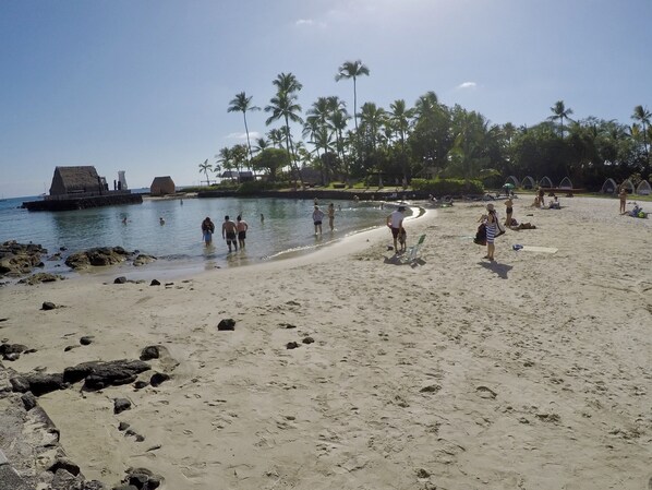 Plage à proximité, chaises longues, serviettes de plage
