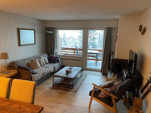 TV, fireplace, DVD player