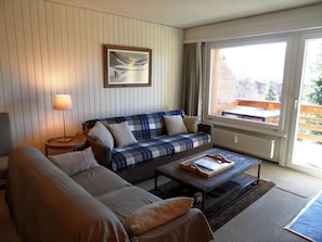 TV, fireplace, DVD player