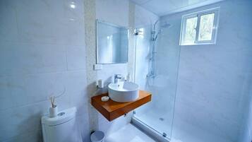 Shower, hair dryer, towels, soap