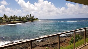 Property grounds - Ocean Front Condo with AC, enjoy the ocean from your own private lanai. (Koloa)