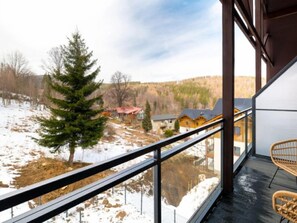 Property grounds - Karpatia by Interhome (Karpacz)