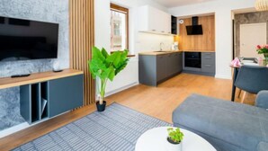 A modern living room with a flat-screen TV, a grey sofa, a coffee table with a plant, and a kitchen area with a wooden cabinet and a TV.