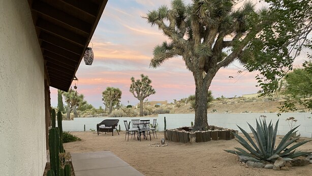 A patio with outdoor furniture, a large tree, and a cactus garden. - Relax Close to Park, Hot Tub, Hammocks, Private, Lush Trees (Joshua Tree)