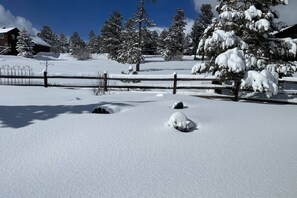 A snow-covered landscape with a wooden fence, snow-covered trees, and a building in the background.