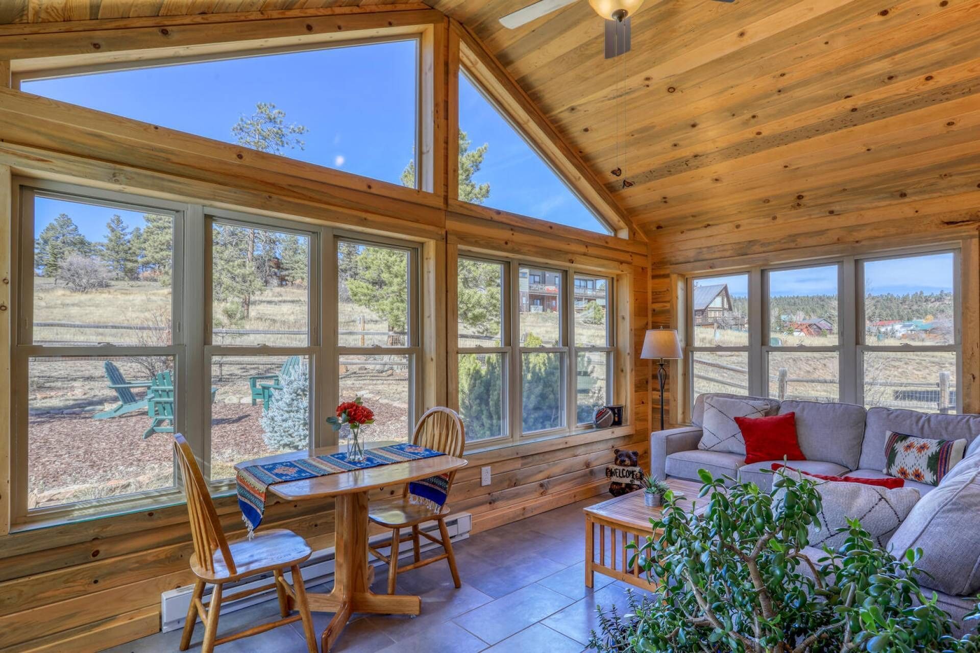 智能电视、壁炉、DVD 播放器