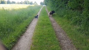 Unclassified image, 5 of 23, button