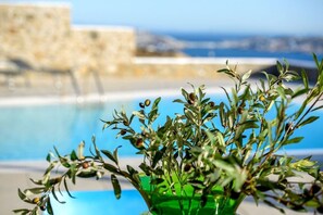 Piscina externa, piscina infinita