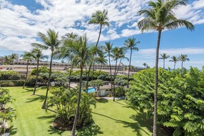 Property grounds - Quam Properties: 1BD Kihei Condo near one of Maui's Best Beaches (Kihei)