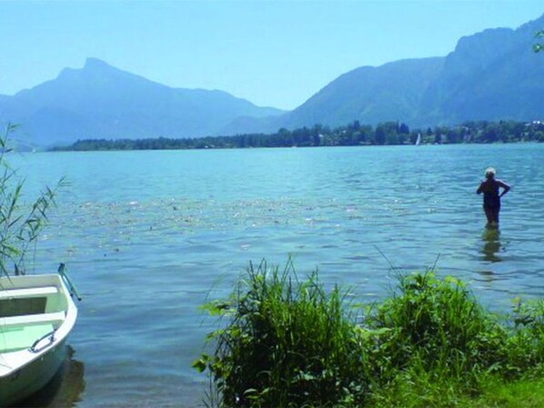 Unclassified image, 1 of 10, button