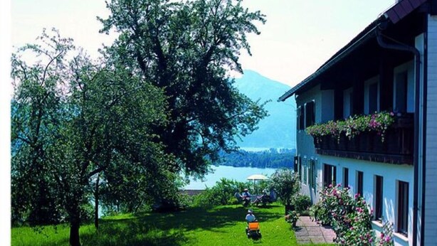 Una casa con césped, un árbol y vistas a un lago y montañas.