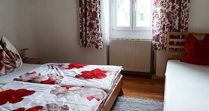 Vacation apartment Seeblick Schafberg - Ferienhof Mitterbauer - Pöllmann