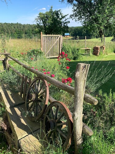 Kellerstöckl am Bio-veganen Lebenshof - nur Hundefreunden Empfohlen !