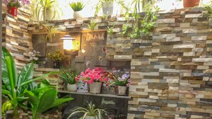 A garden area with a stone wall, potted plants, a white picket fence, and decorative chickens and eggs. - Jolie House - Villa 2 Double Rooms - Great Getaway (Da Lat)