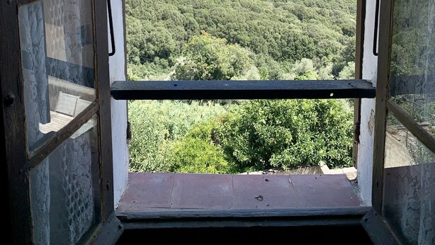 Une vue à travers une fenêtre ouverte, ornée d’une barre de métal, donnant sur un paysage densément boisé, avec des collines lointaines et un ciel dégagé.