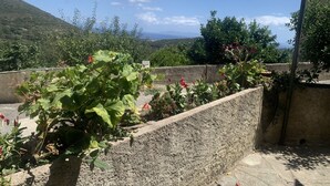 Un jardin sur le toit, avec des plantes et une vue sur la mer.