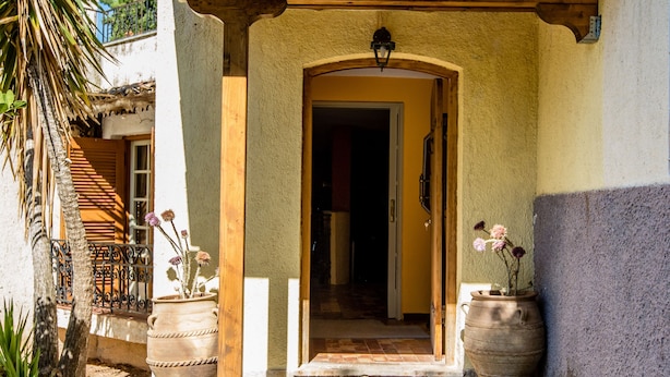 A stone staircase leading to a doorway with a tiled roof, surrounded by potted plants and a palm tree.