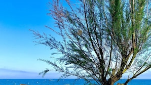 A beach with a tree and three thatched umbrellas. - Haven of peace with infinity pool overlooking the sea (Villeneuve-Loubet)