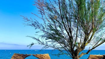 On the beach, sun loungers