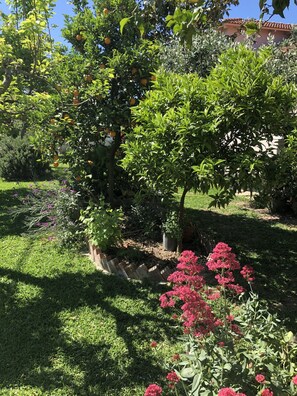 Property grounds - Little villa (Καλλιθέα)