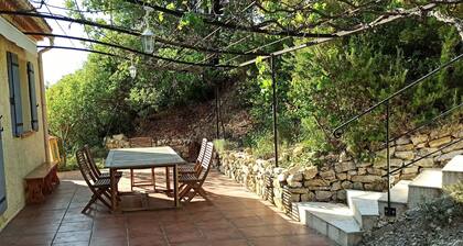 House with heated pool