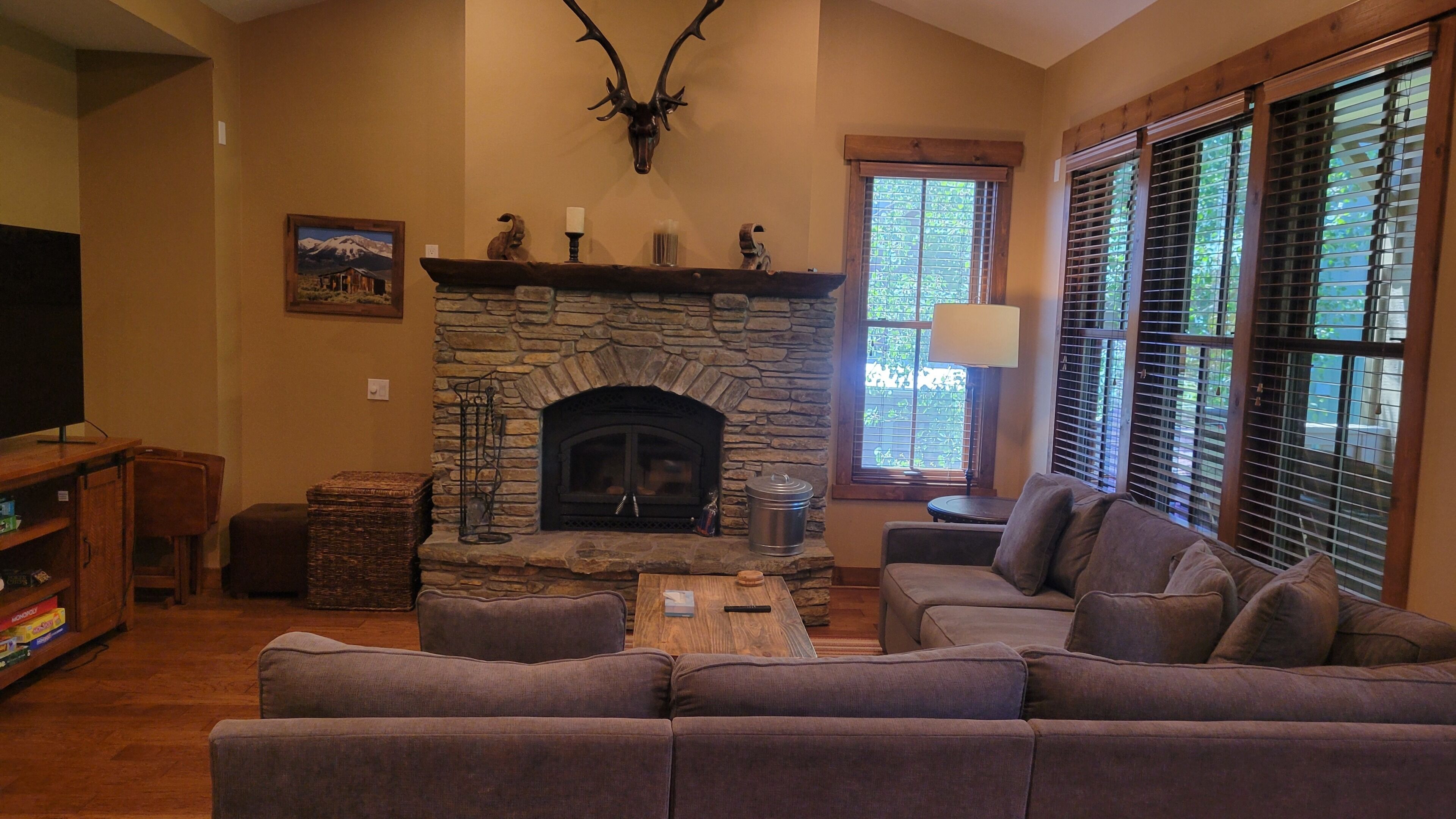 TV, fireplace